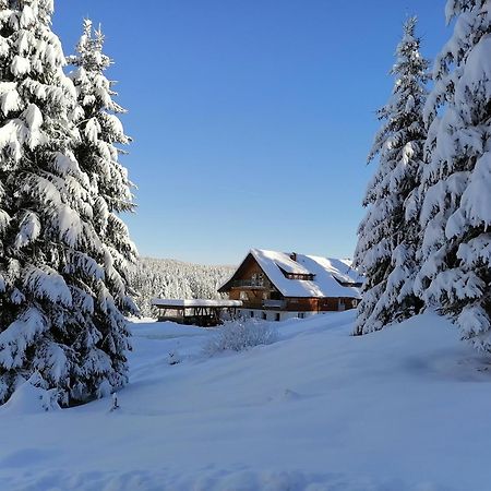 Ferienwohnung Heustueble Hinterzarten Buitenkant foto