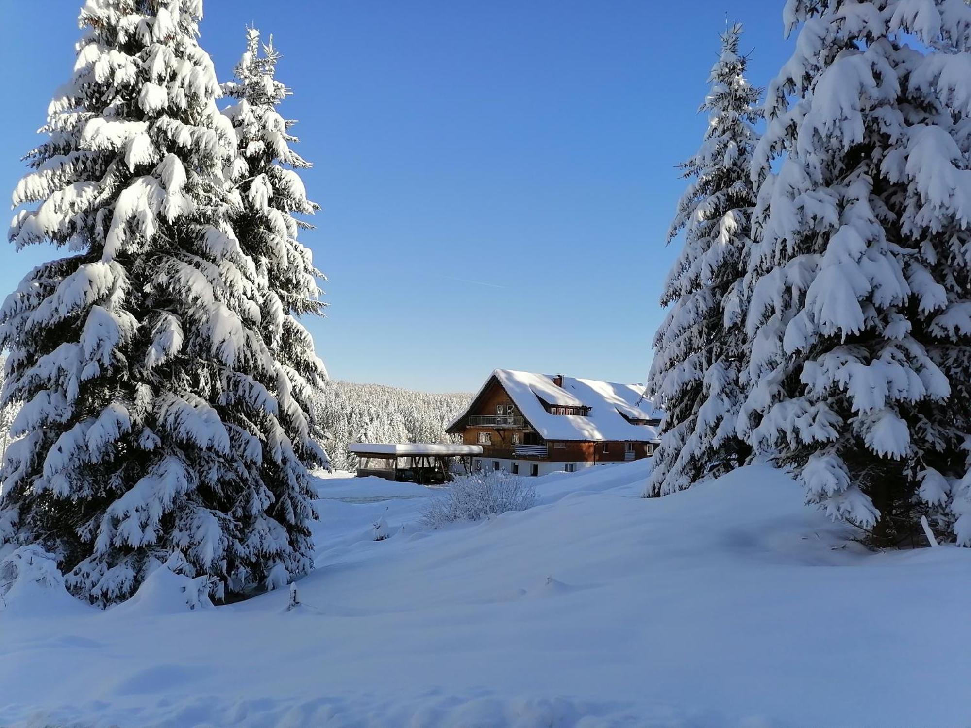 Ferienwohnung Heustueble Hinterzarten Buitenkant foto